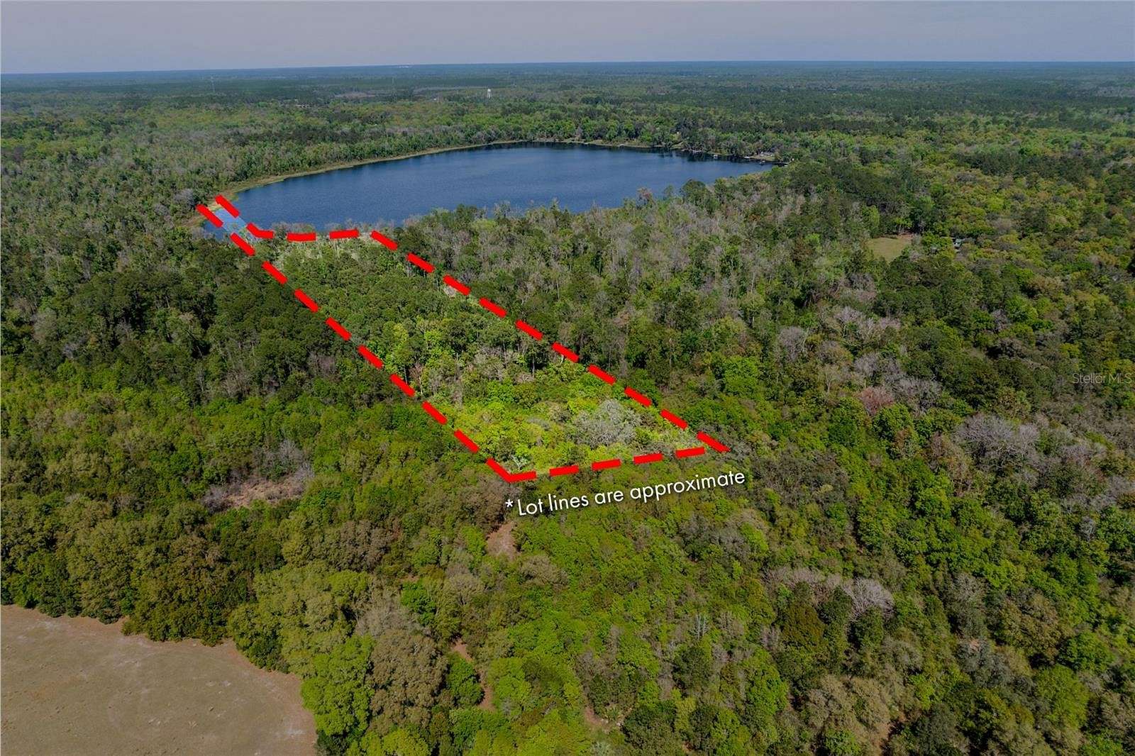 10.5 Acres of Land for Sale in Melrose, Florida