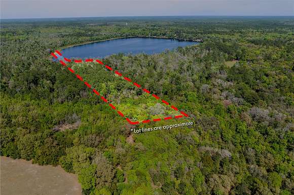 10.5 Acres of Land for Sale in Melrose, Florida
