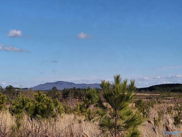 415 Acres of Recreational Land for Sale in Gadsden, Alabama