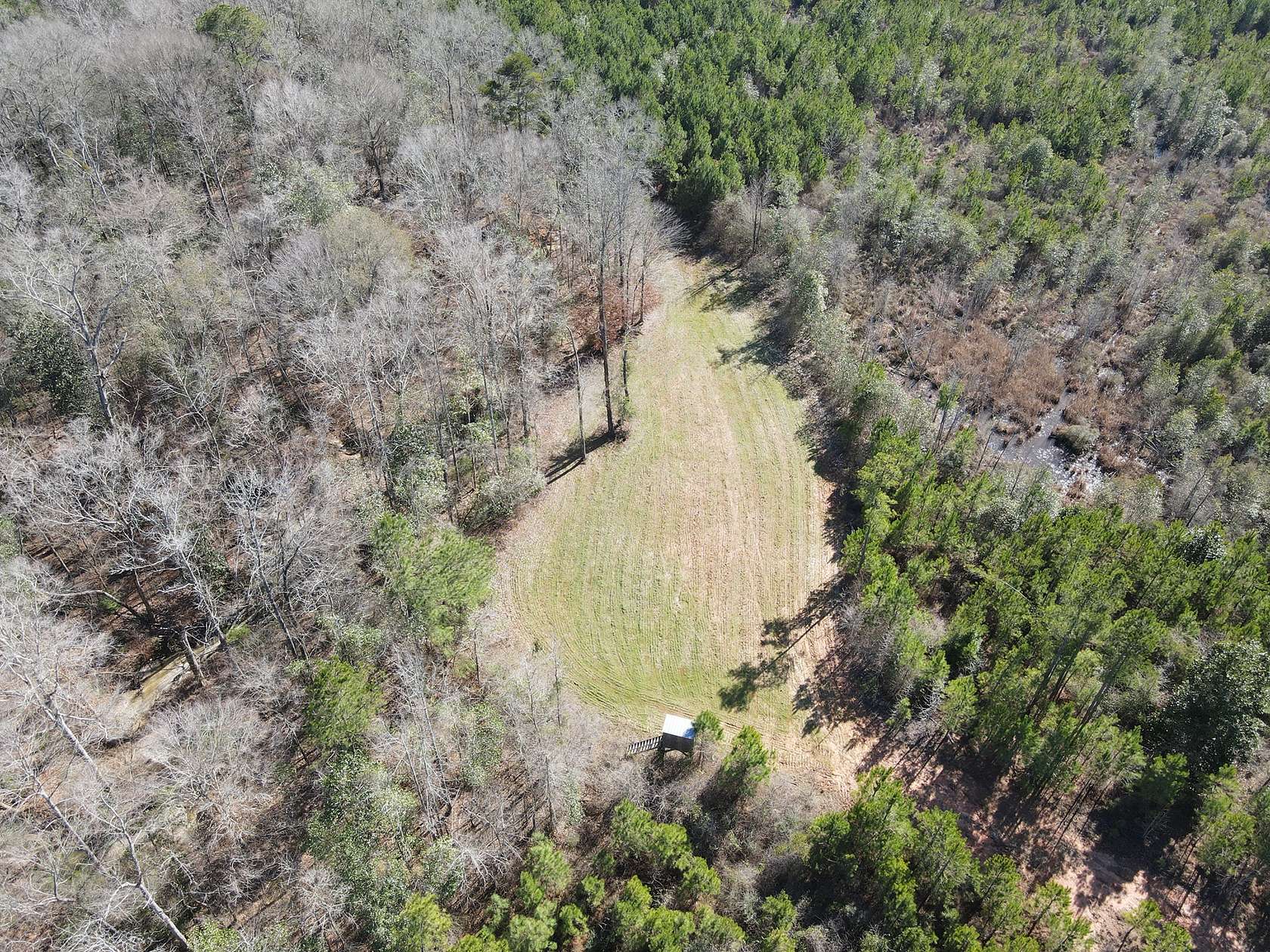 750 Acres of Recreational Land for Sale in Rutledge, Alabama