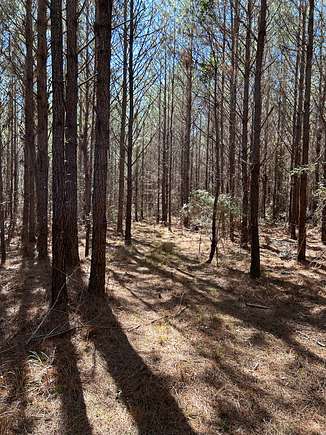 814 Acres of Recreational Land for Sale in Rutledge, Alabama