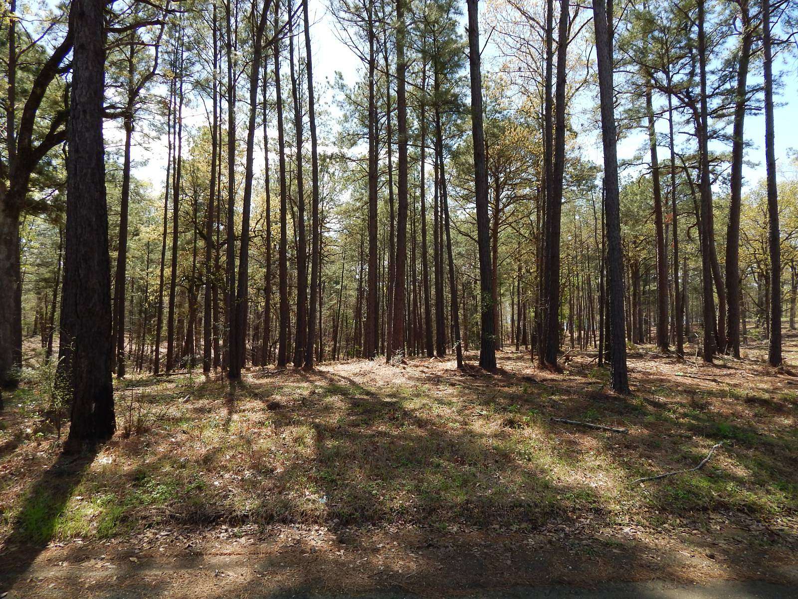 0.52 Acres of Residential Land for Sale in Many, Louisiana