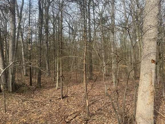 4.8 Acres of Residential Land for Sale in Holton, Michigan