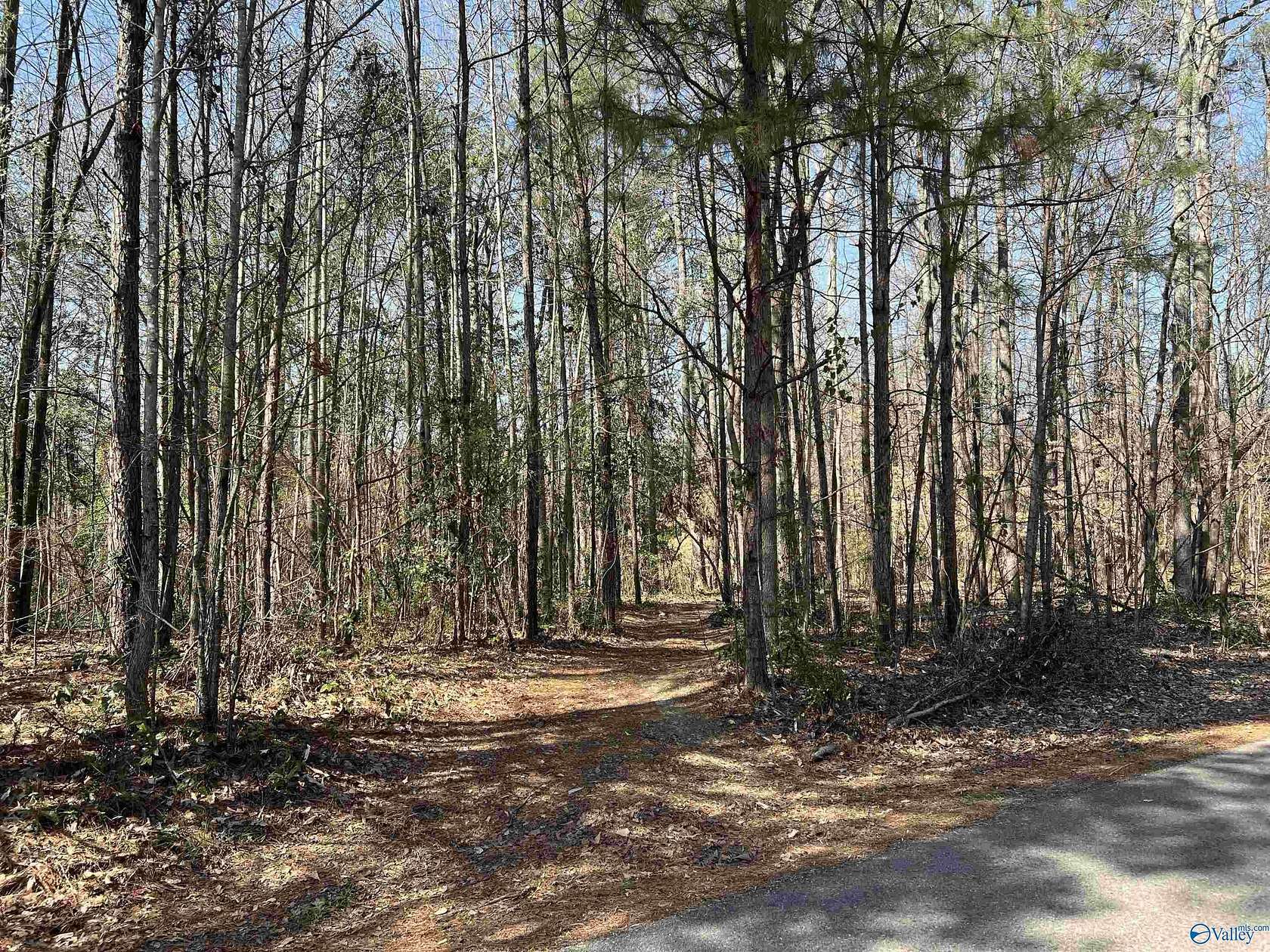 0.4 Acres of Residential Land for Sale in Southside, Alabama