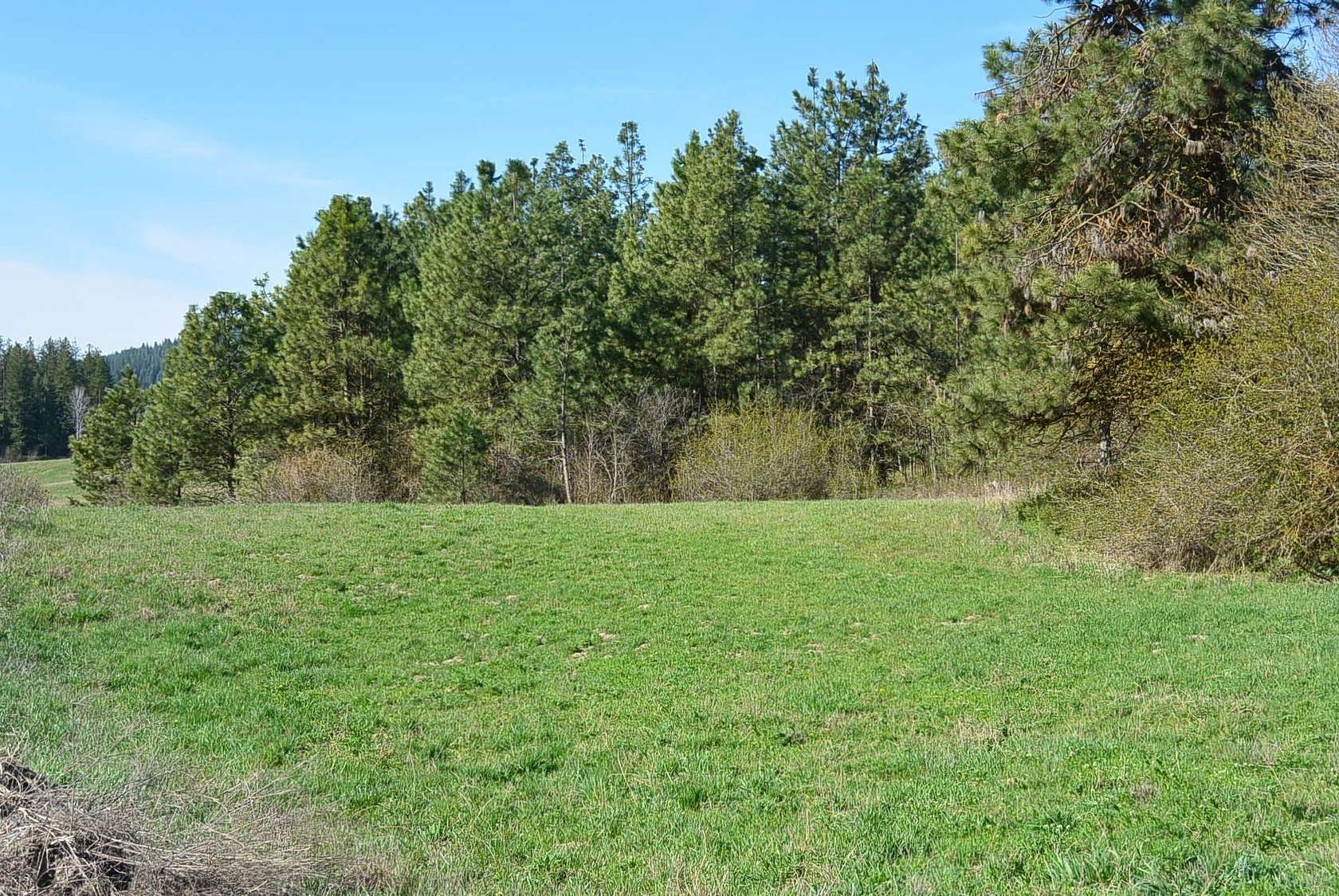 18.5 Acres of Recreational Land for Sale in Valley, Washington
