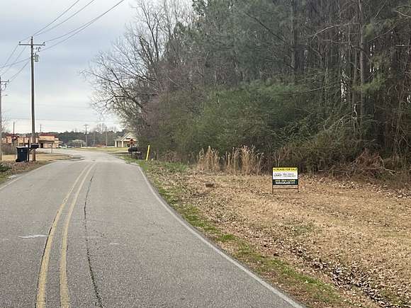 4 Acres of Commercial Land for Sale in Center, Alabama