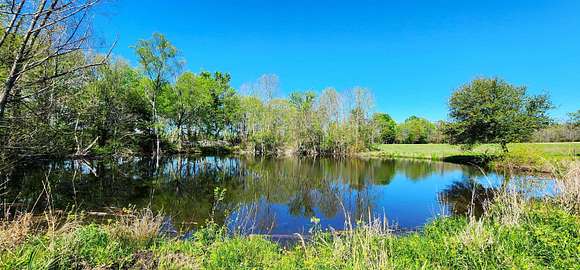 62.1 Acres of Recreational Land & Farm for Sale in Pineland, Texas