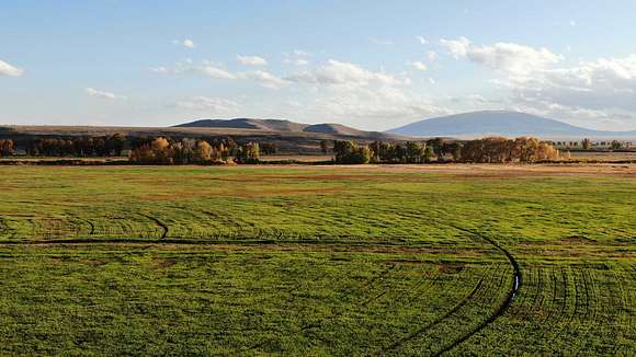 2,950 Acres of Improved Land for Sale in Antonito, Colorado