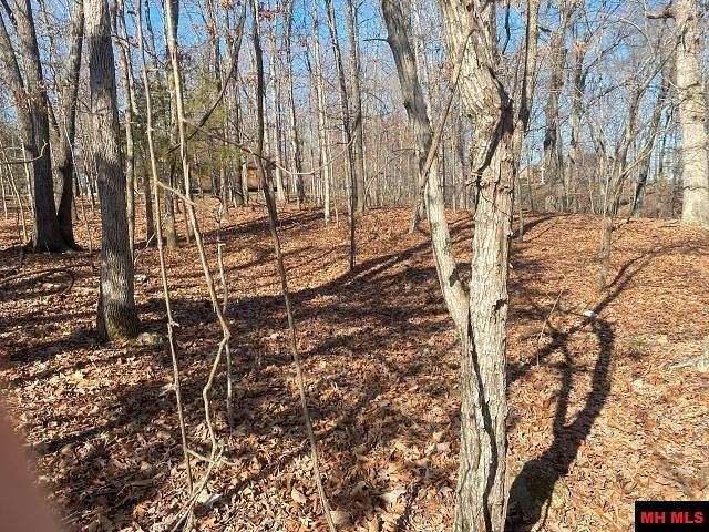 2 Acres of Land for Sale in Flippin, Arkansas