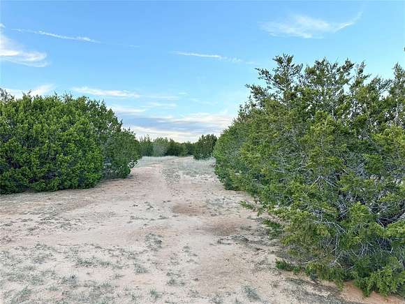 17.7 Acres of Recreational Land for Sale in Ovalo, Texas
