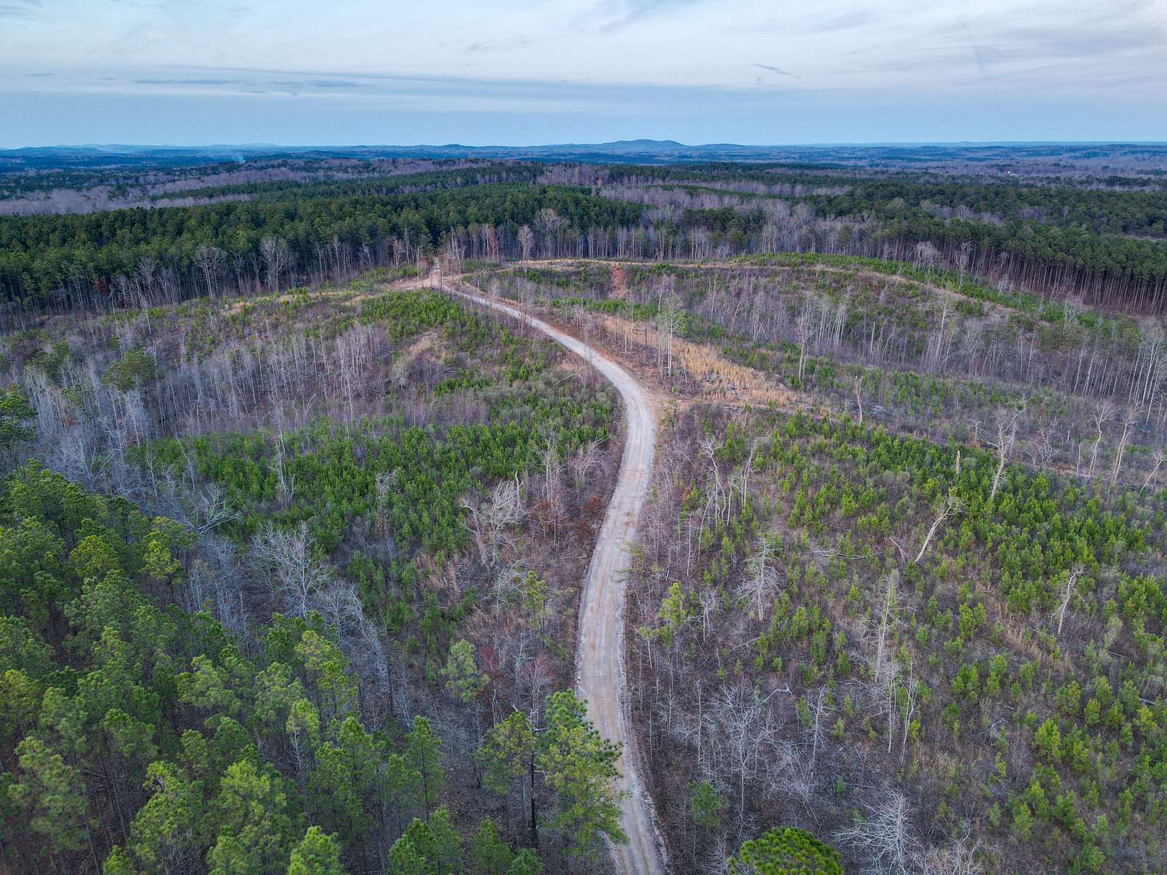 40 Acres of Improved Land for Sale in Rockford, Alabama
