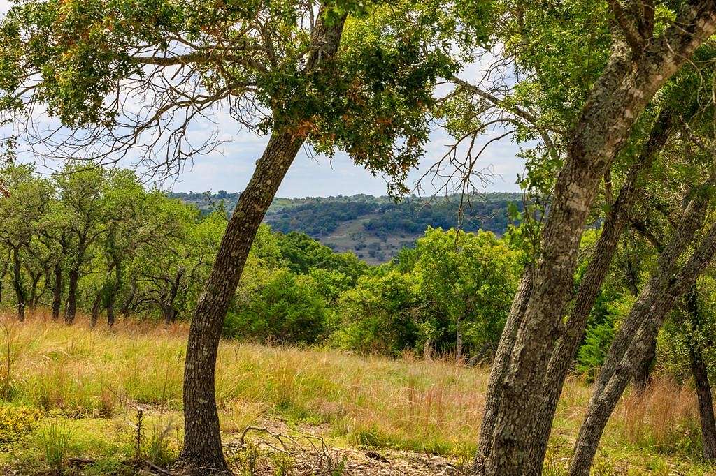 10.2 Acres of Land for Sale in Blanco, Texas