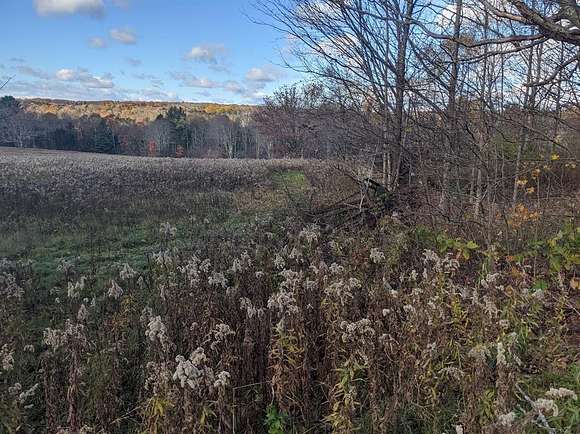 45.5 Acres of Land for Sale in Greene, New York