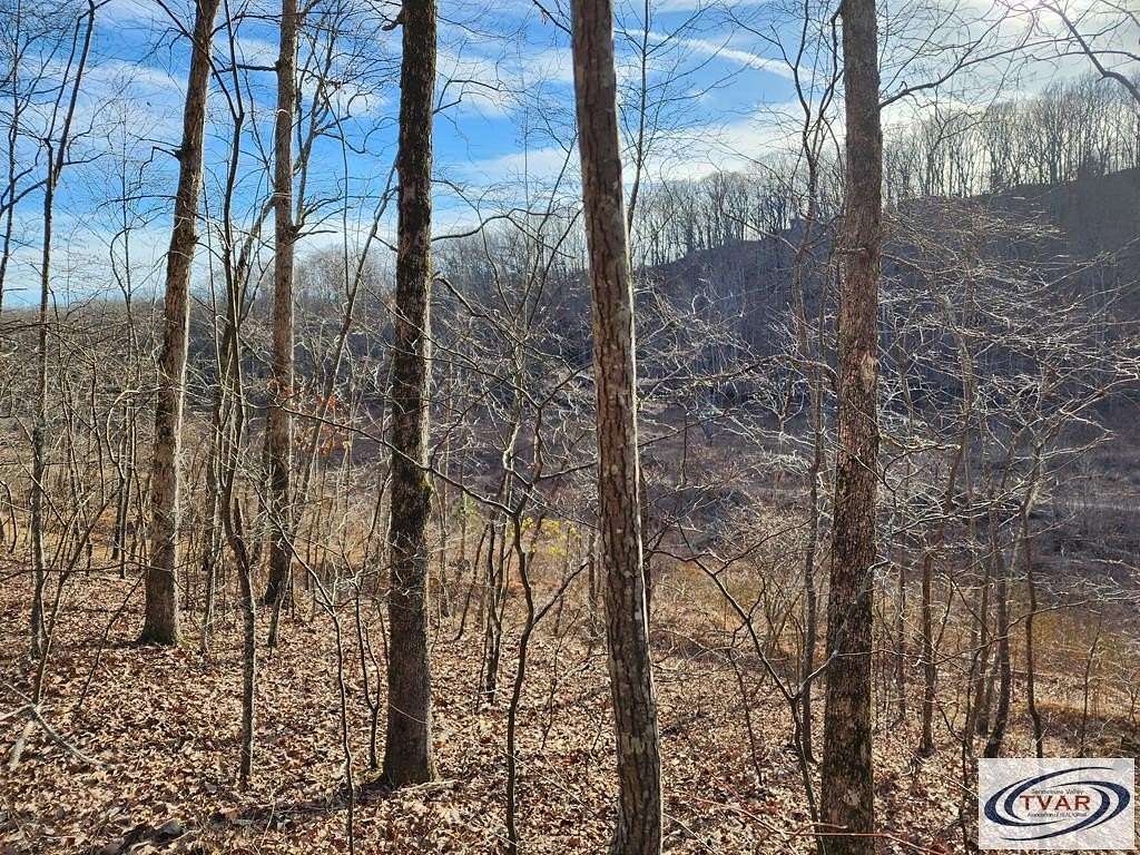 0.74 Acres of Residential Land for Sale in Holladay, Tennessee