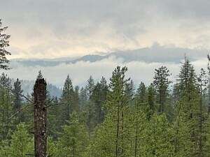 20 Acres of Recreational Land for Sale in Chewelah, Washington