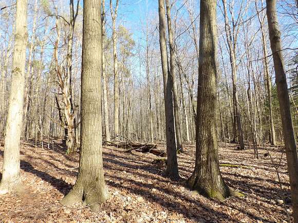 43 Acres of Recreational Land for Sale in Panama, New York