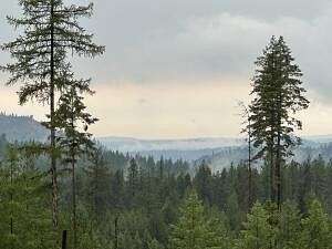 20 Acres of Recreational Land for Sale in Chewelah, Washington