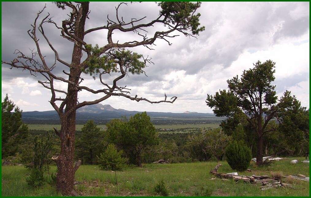 6.2 Acres of Residential Land for Sale in Datil, New Mexico