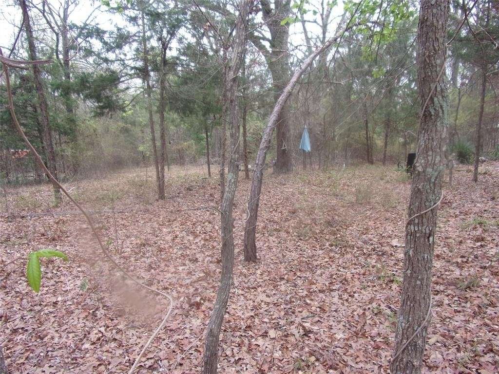 0.42 Acres of Land for Sale in Murchison, Texas