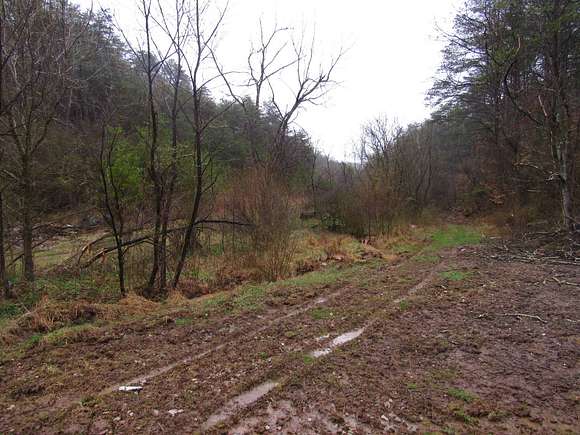 116 Acres of Land for Sale in Racy, West Virginia