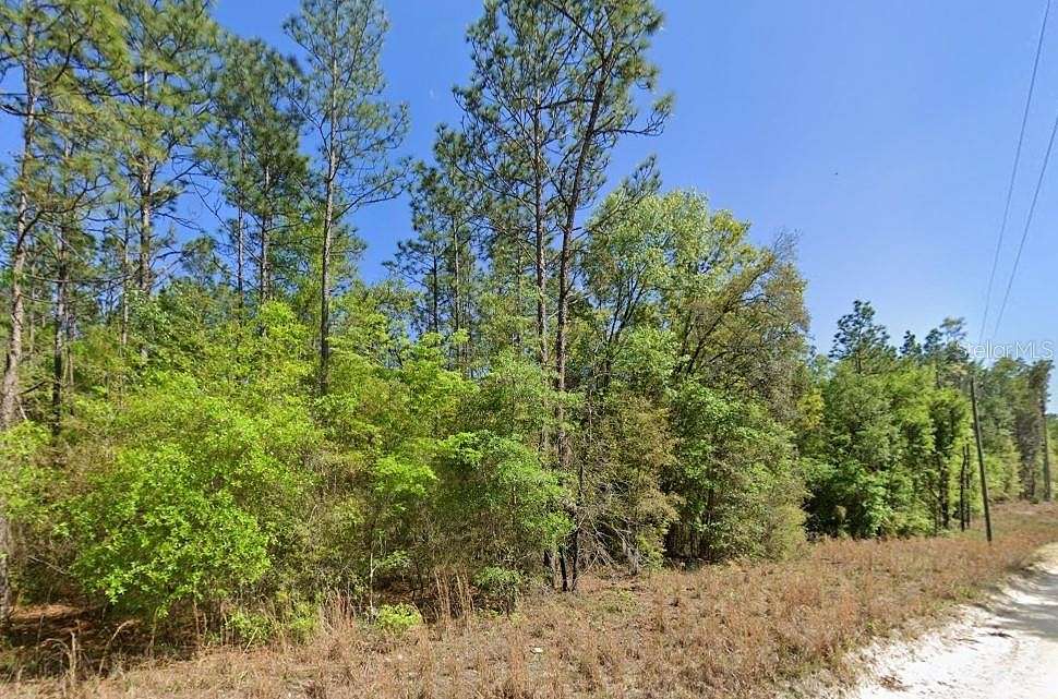 1 Acre of Residential Land for Sale in Bell, Florida