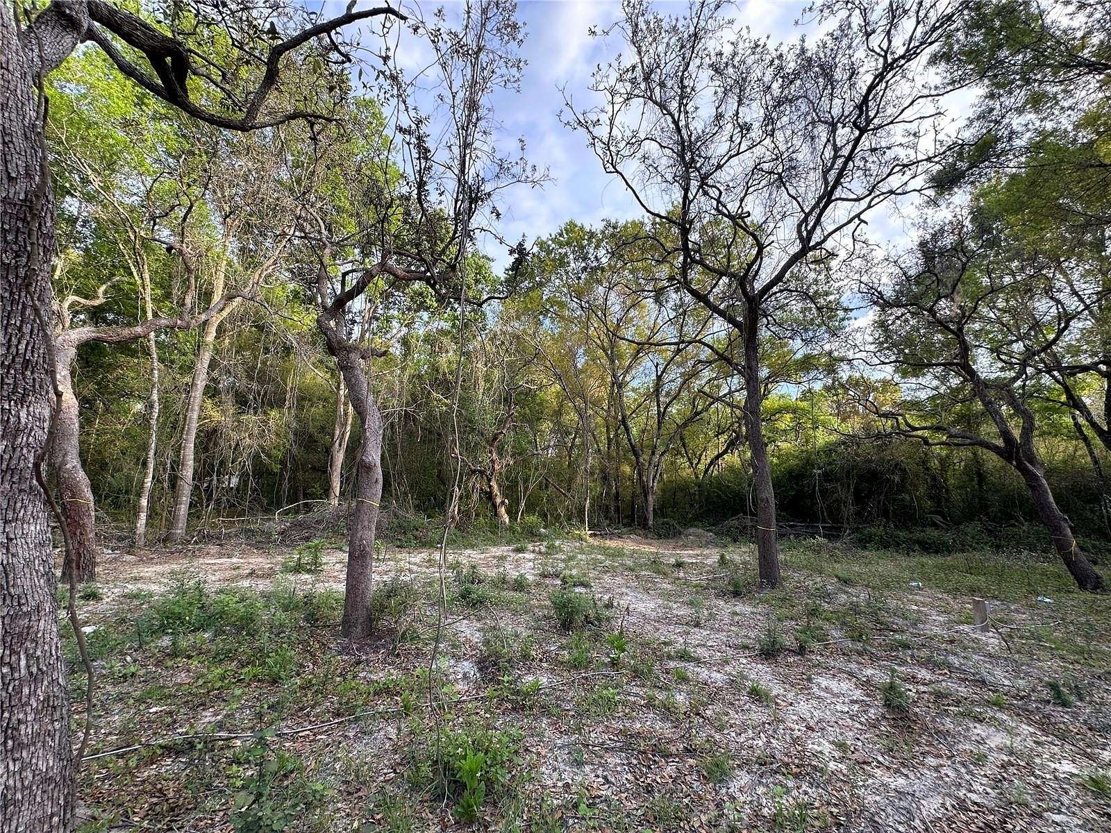 1 Acre of Residential Land for Sale in New Port Richey, Florida