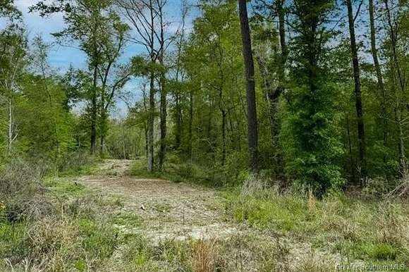 20 Acres of Agricultural Land for Sale in Lake Charles, Louisiana