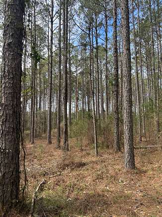 1 Acre of Residential Land for Sale in Opelika, Alabama