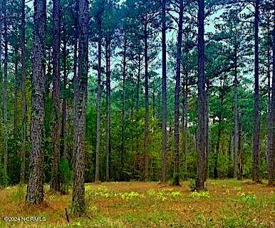 1.1 Acres of Residential Land for Sale in Oriental, North Carolina
