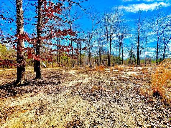 4.4 Acres of Agricultural Land for Sale in North, South Carolina