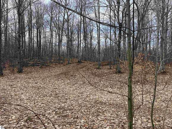 1.1 Acres of Residential Land for Sale in Empire, Michigan