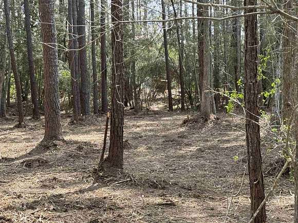 11 Acres of Recreational Land for Sale in Kirbyville, Texas