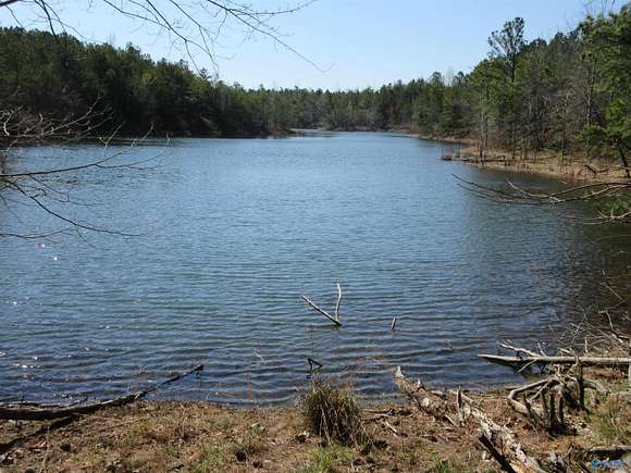 360 Acres of Recreational Land for Sale in Flat Rock, Alabama