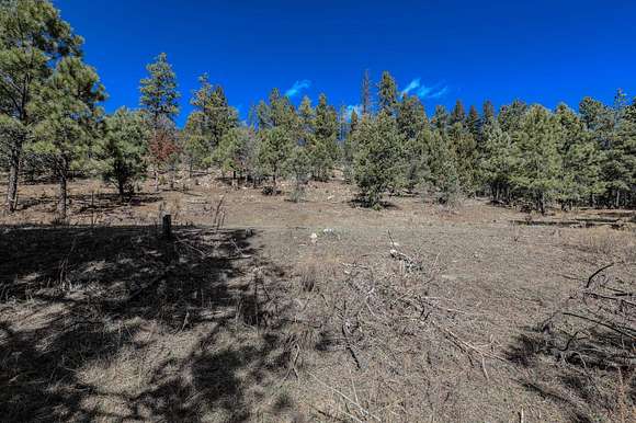 3.1 Acres of Residential Land for Sale in Cloudcroft, New Mexico