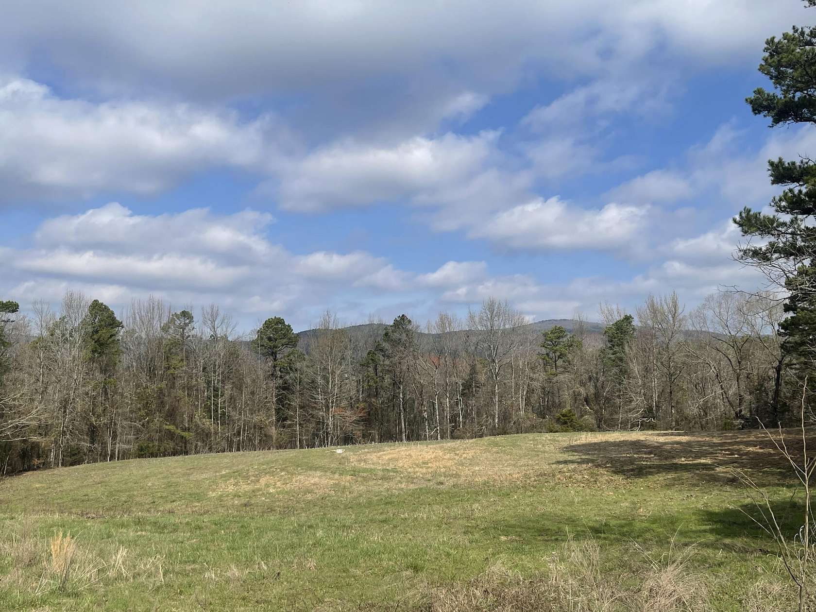 6 Acres of Land for Sale in Clarksville, Arkansas