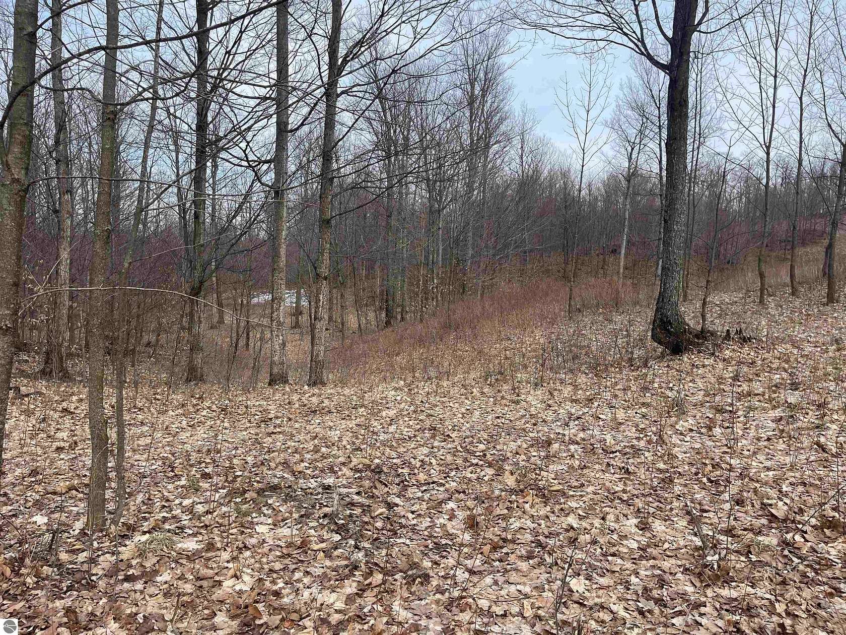 1 Acre of Residential Land for Sale in Empire, Michigan