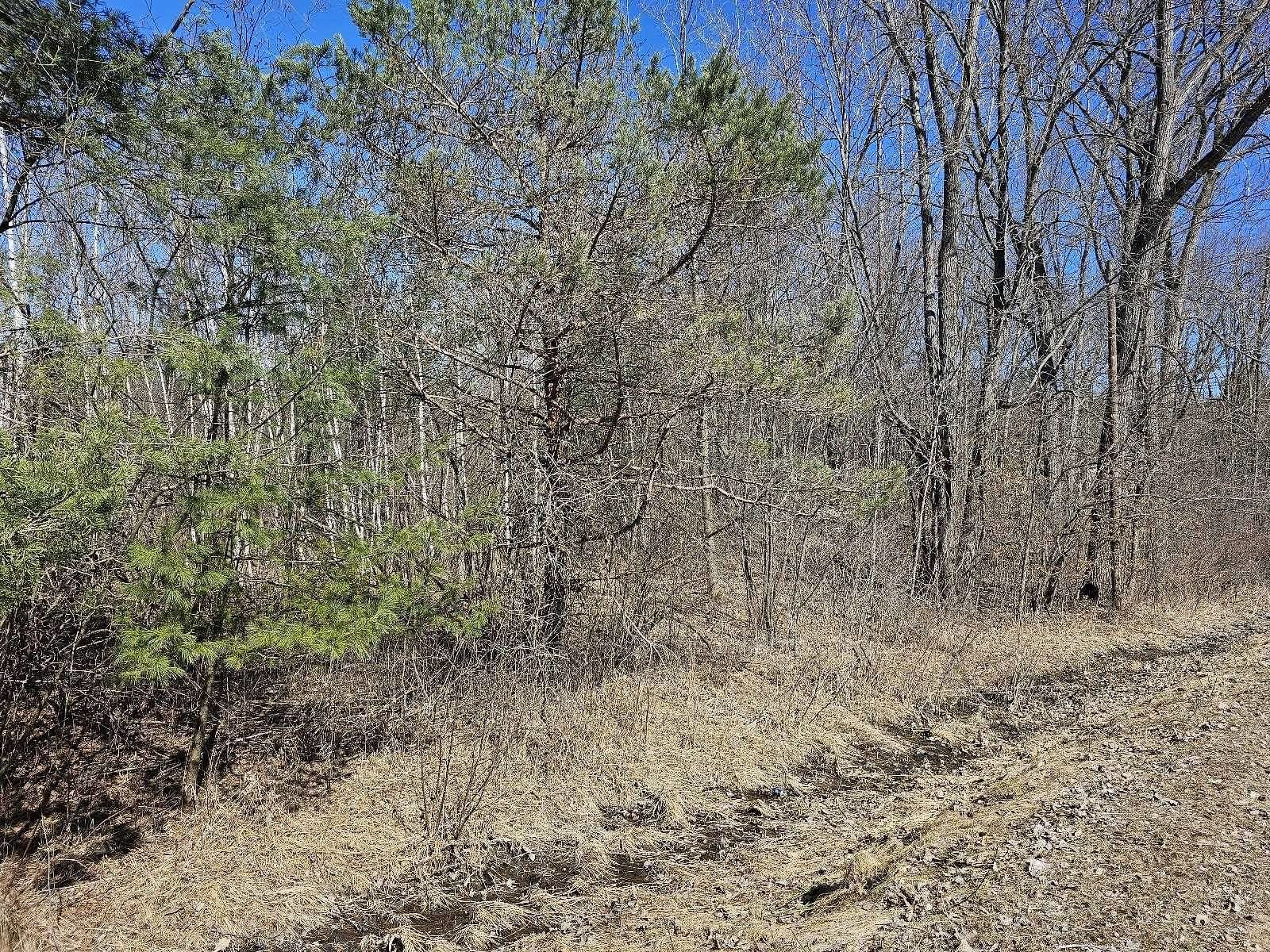 1.2 Acres of Land for Sale in Gladwin, Michigan