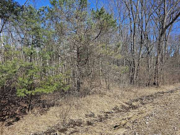 1.17 Acres of Land for Sale in Gladwin, Michigan