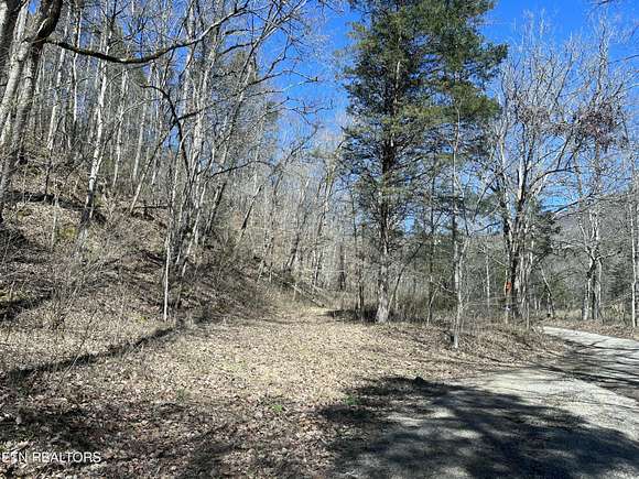 21.5 Acres of Recreational Land for Sale in Tazewell, Tennessee