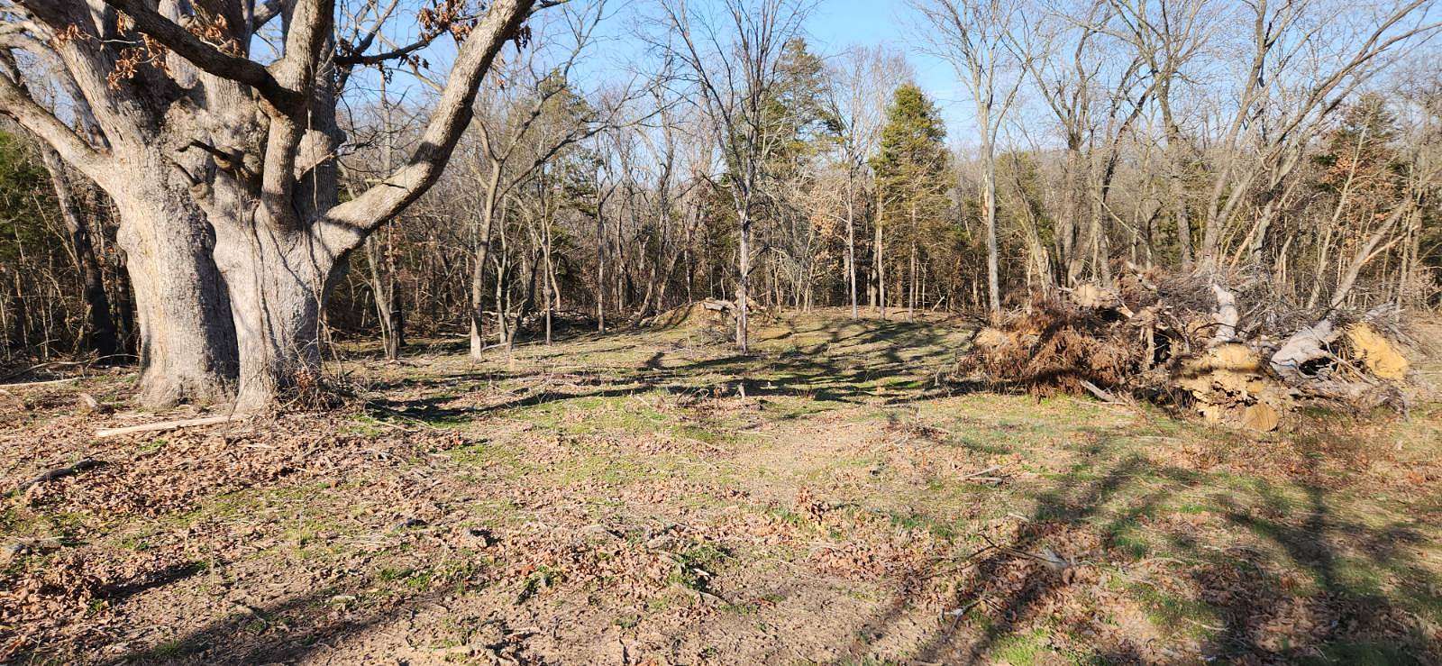 13.2 Acres of Land for Sale in Fair Play, Missouri