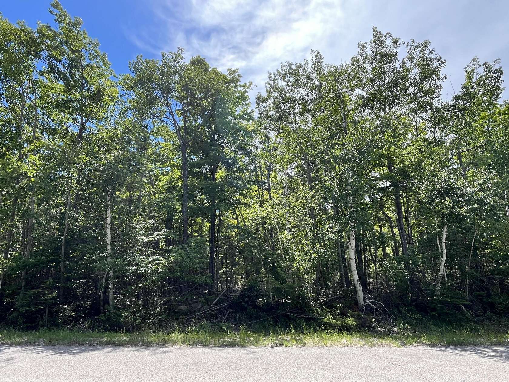 Land for Sale in Presque Isle, Michigan