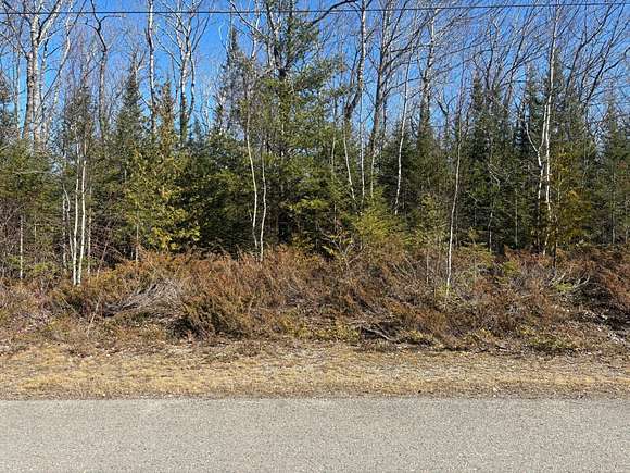 Land for Sale in Presque Isle, Michigan