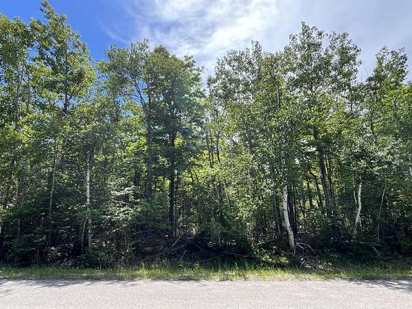 Land for Sale in Presque Isle, Michigan