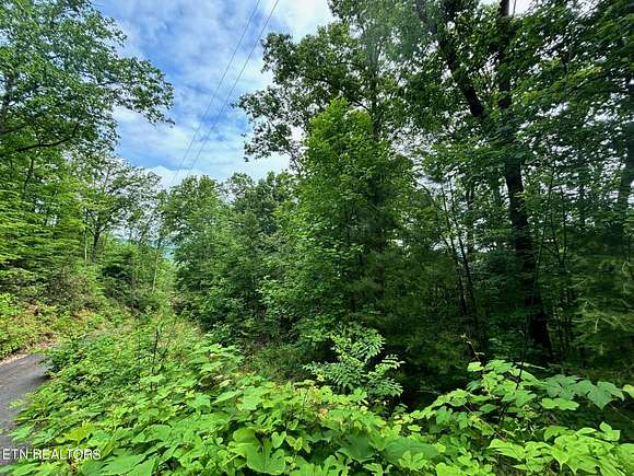 2.48 Acres of Residential Land for Sale in Sevierville, Tennessee