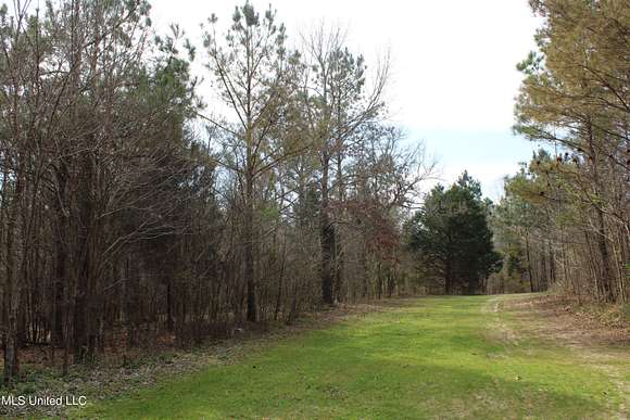 140 Acres of Recreational Land for Sale in Hickory Flat, Mississippi