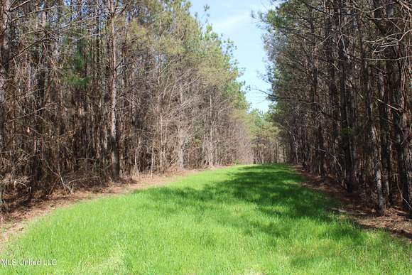 115 Acres of Recreational Land for Sale in Hickory Flat, Mississippi