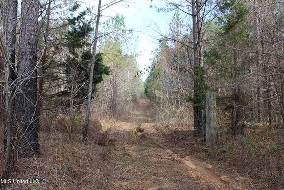 65 Acres of Recreational Land for Sale in Hickory Flat, Mississippi