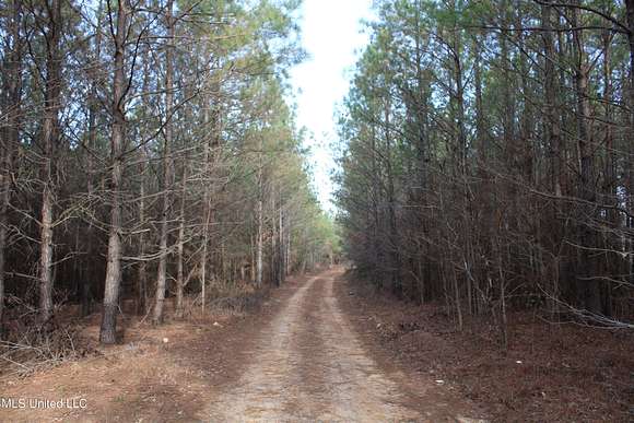 120 Acres of Recreational Land for Sale in Hickory Flat, Mississippi
