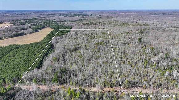 20 Acres of Land for Sale in Rosholt, Wisconsin