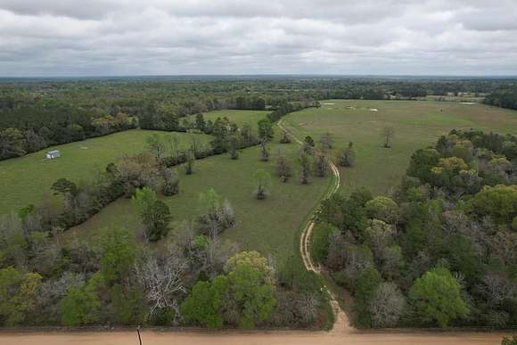 141 Acres of Land for Sale in Lovelady, Texas